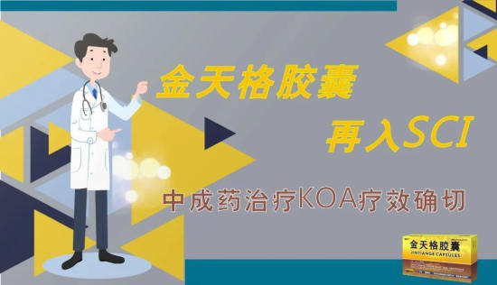 金天格膠囊再入SCI 中成藥治療KOA療效確切